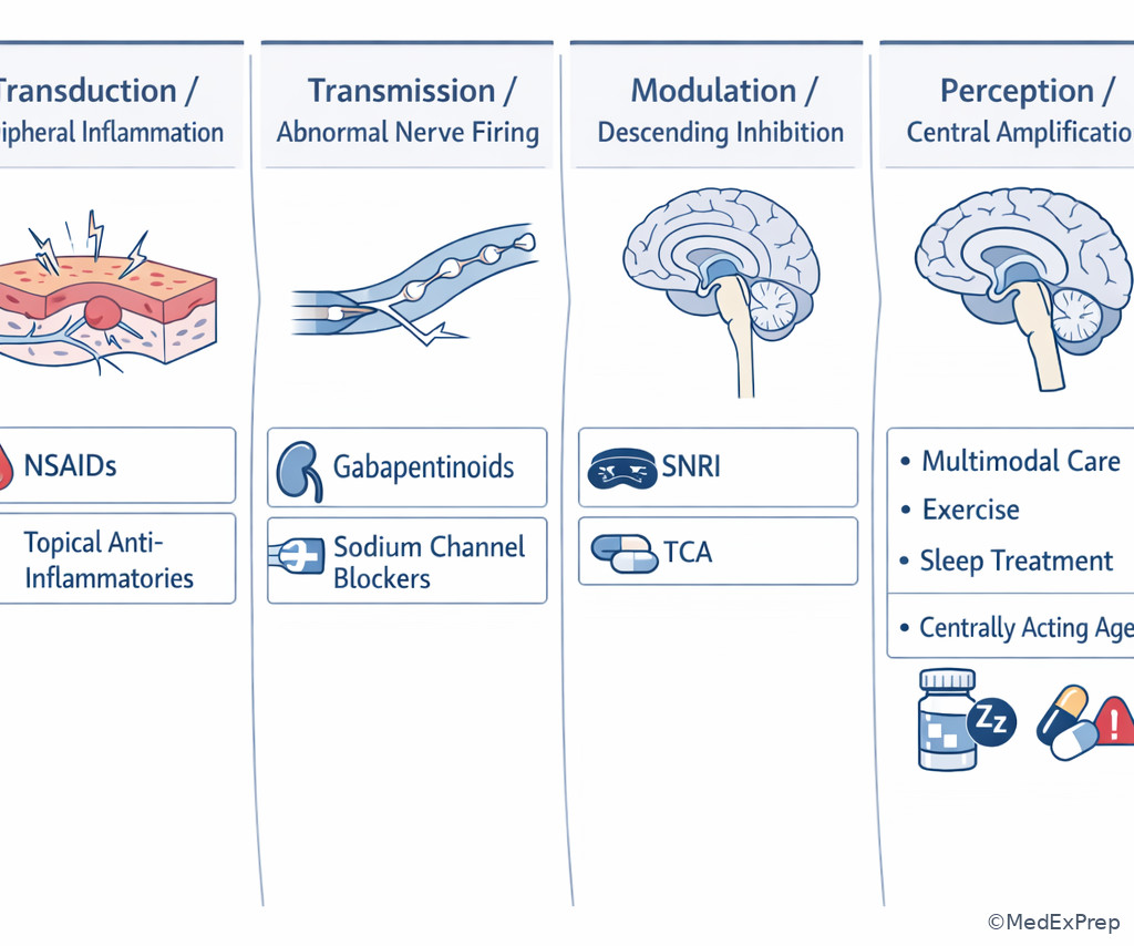Mechanism-to-drug class infographic