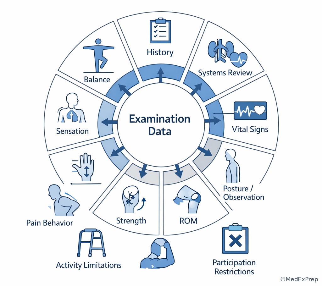 Examination data categories wheel