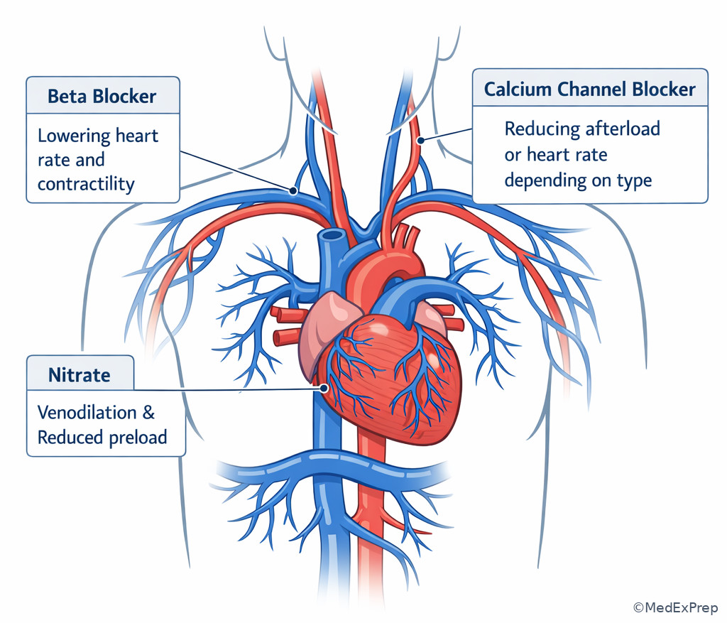 Antianginal medication targets