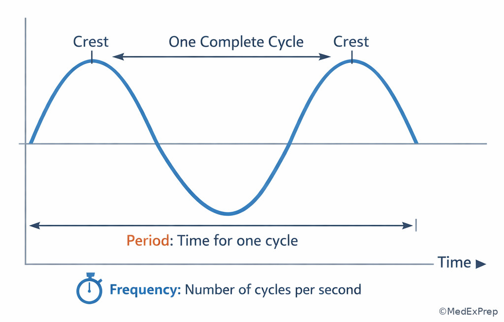Ultrasound sine wave labeled with one cycle, period, and frequency direction