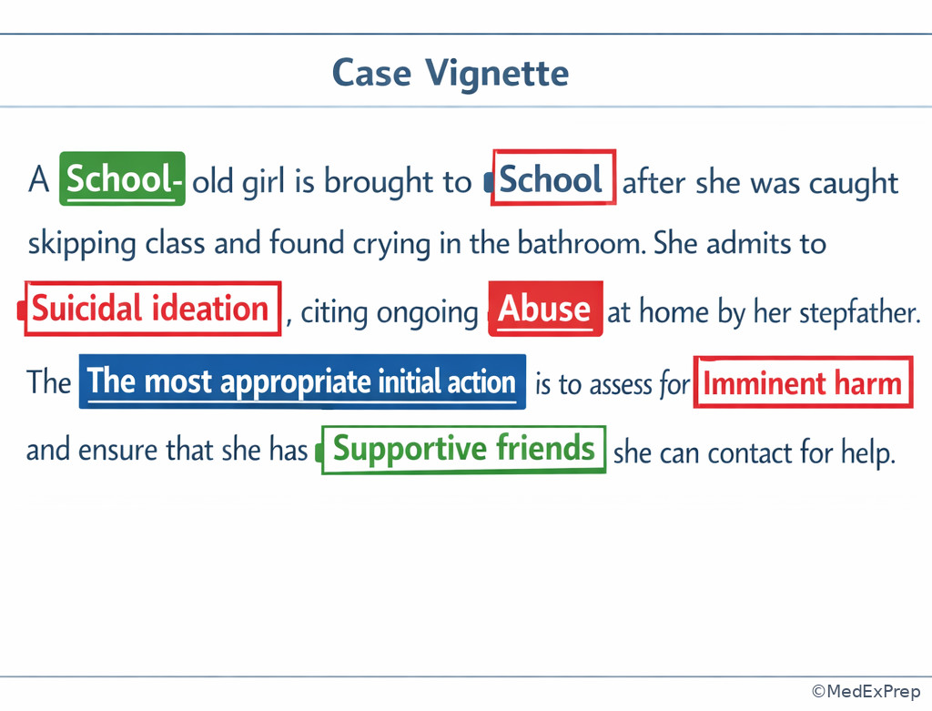 Exam stem annotation model