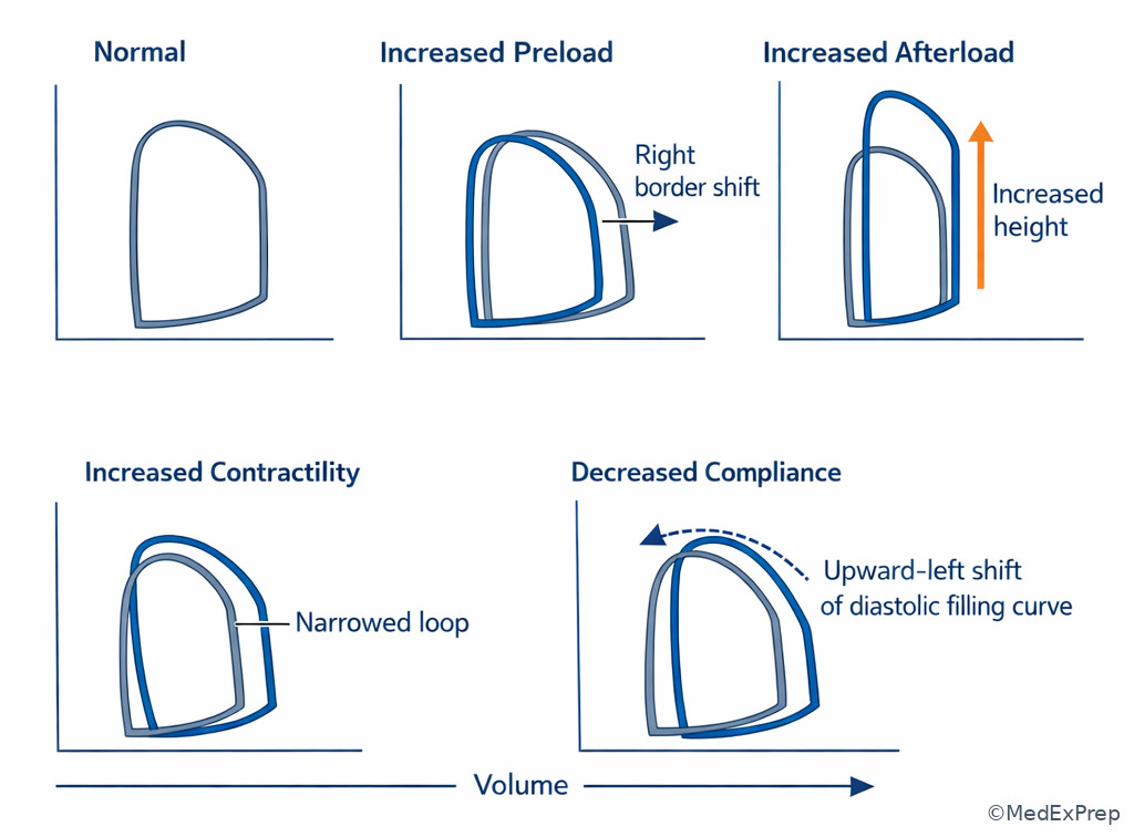 Fig 4. Overlay of preload, afterload, contractility, and compliance loop shifts