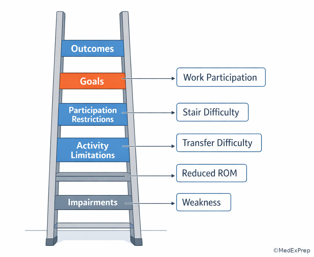 Labeled PT reasoning ladder from impairment to participation