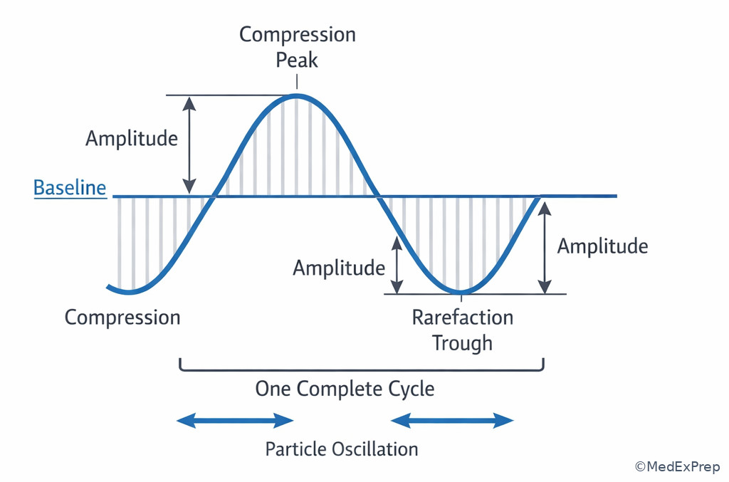 Acoustic cycle with labeled compression and rarefaction