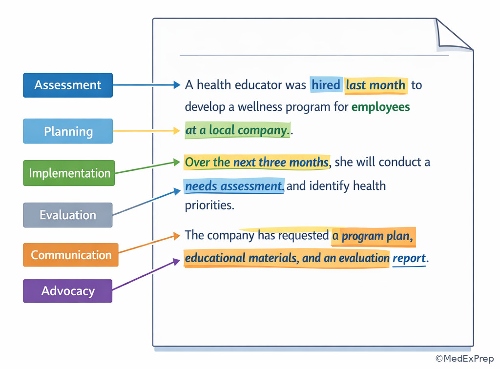 Stem clue annotation illustration
